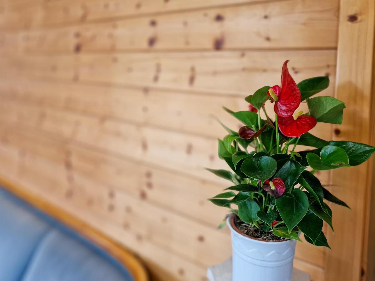 Ferien Vom Ich, Bayerischer Wald, Hotel & Restaurant ノイキルヒェン エクステリア 写真