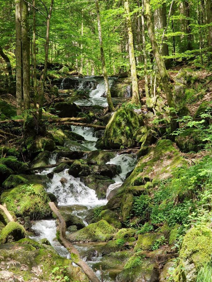 Ferien Vom Ich, Bayerischer Wald, Hotel & Restaurant ノイキルヒェン エクステリア 写真