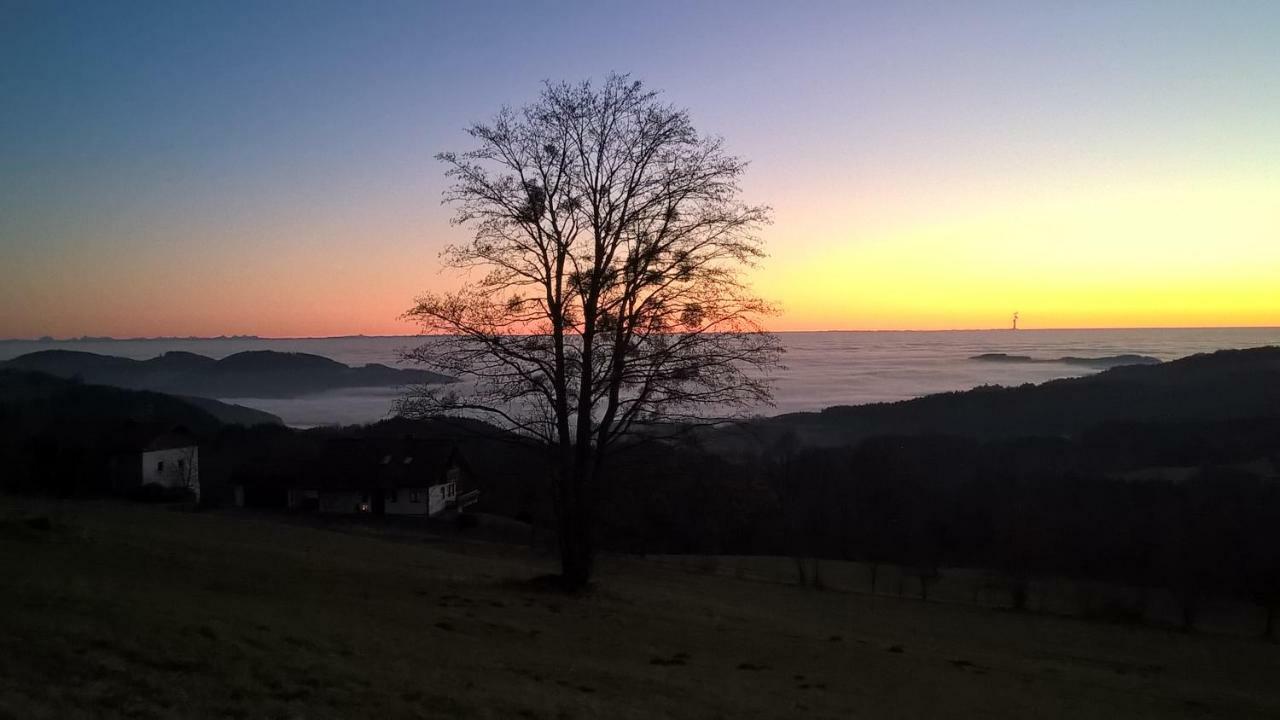 Ferien Vom Ich, Bayerischer Wald, Hotel & Restaurant ノイキルヒェン エクステリア 写真