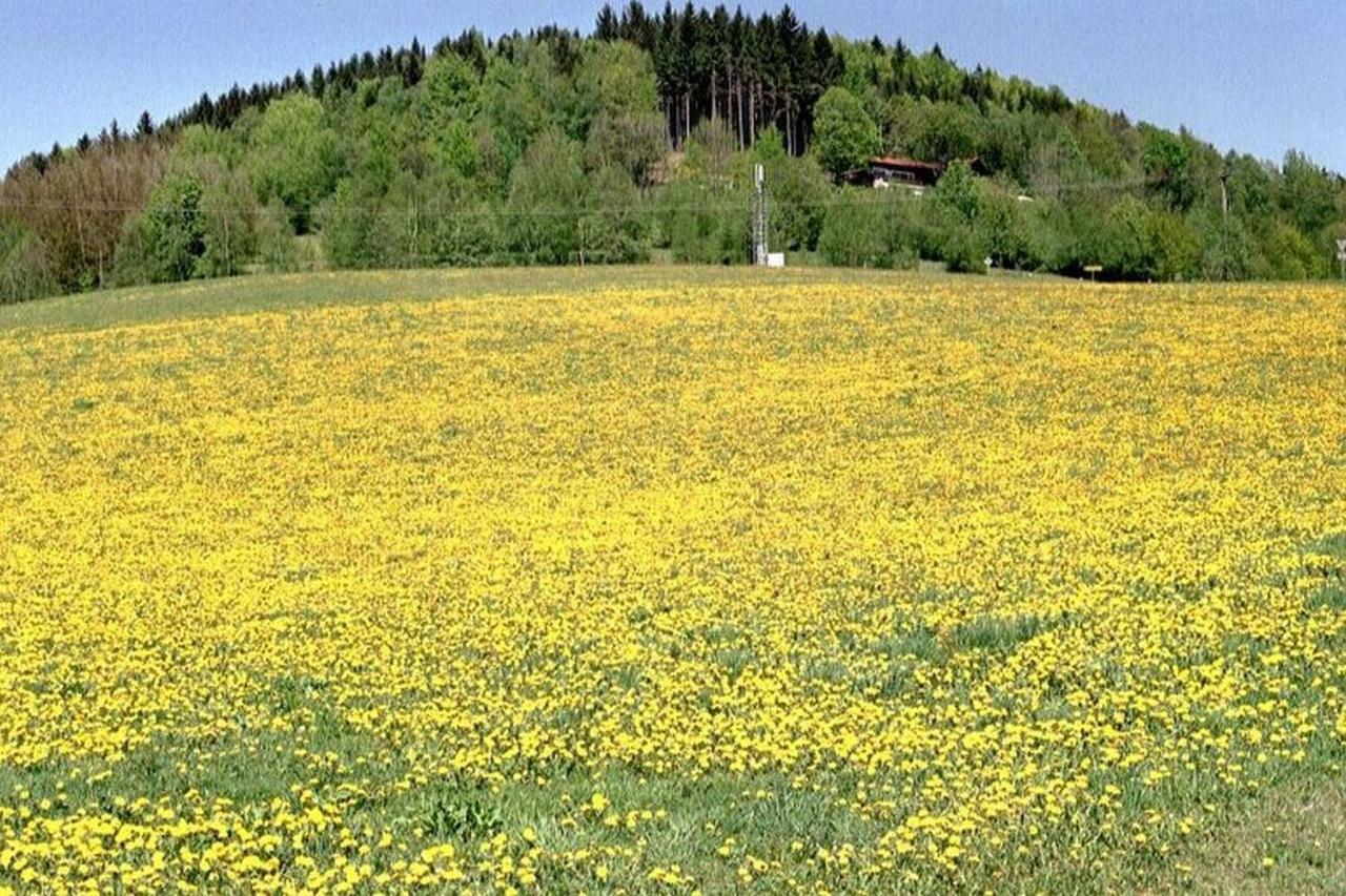 Ferien Vom Ich, Bayerischer Wald, Hotel & Restaurant ノイキルヒェン エクステリア 写真