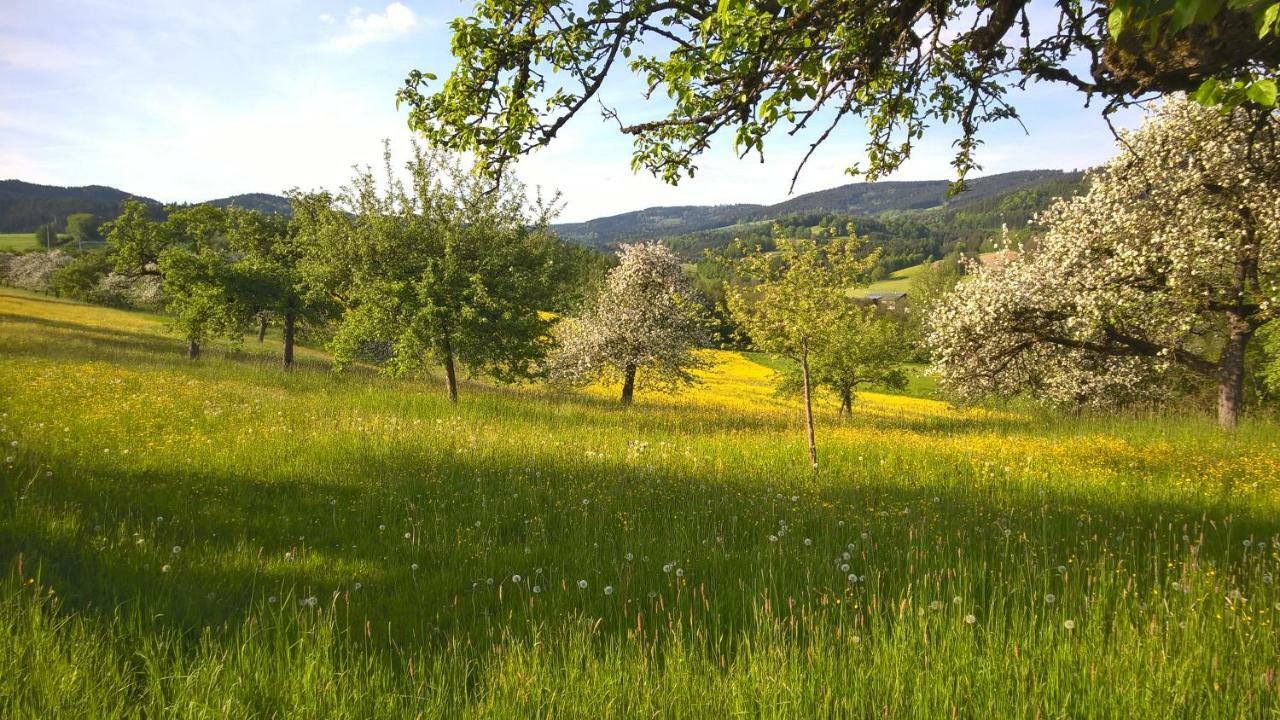 Ferien Vom Ich, Bayerischer Wald, Hotel & Restaurant ノイキルヒェン エクステリア 写真