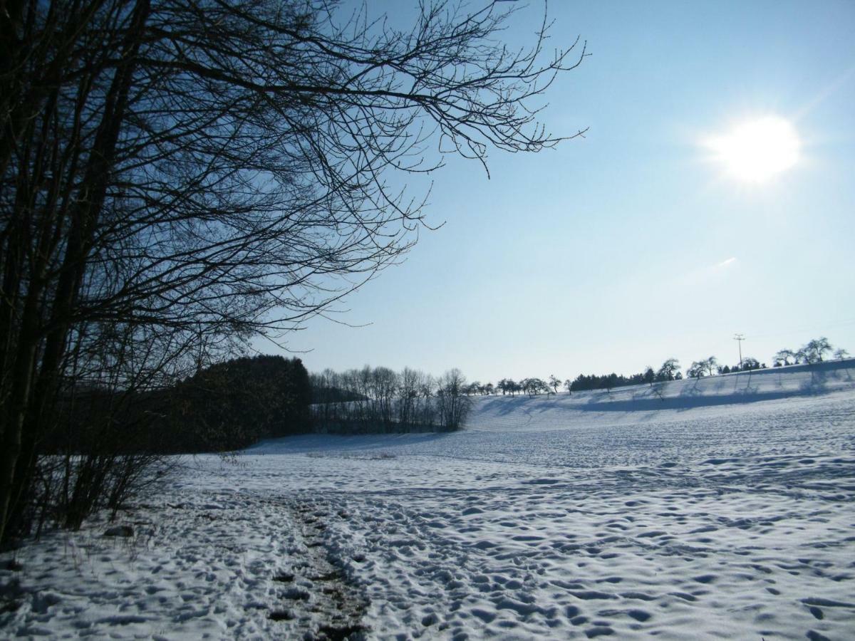 Ferien Vom Ich, Bayerischer Wald, Hotel & Restaurant ノイキルヒェン エクステリア 写真