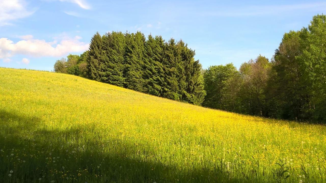Ferien Vom Ich, Bayerischer Wald, Hotel & Restaurant ノイキルヒェン エクステリア 写真